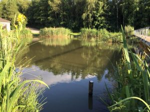KJS Fisheries - Westend Fisheries